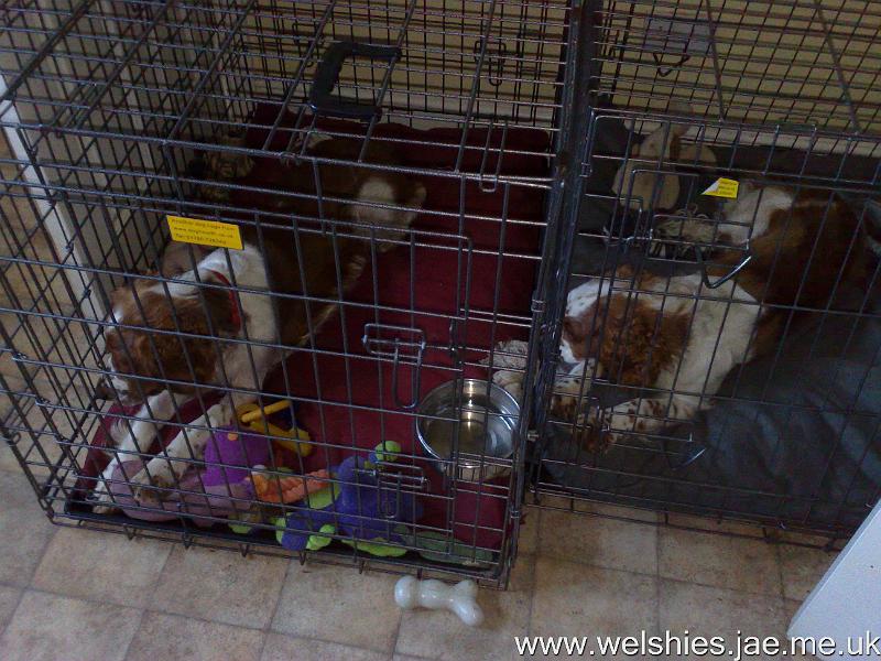 2009-10-23 05.jpg - Still mirroring each other